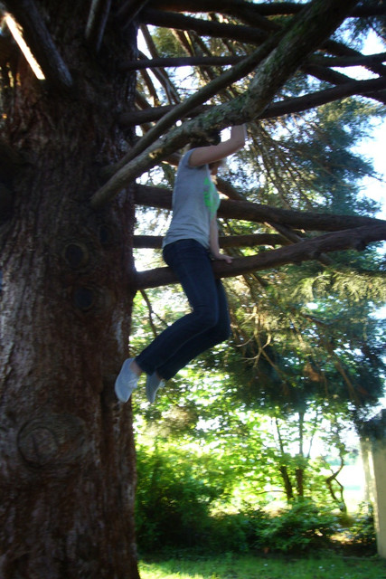 2013_gs_selection_0120