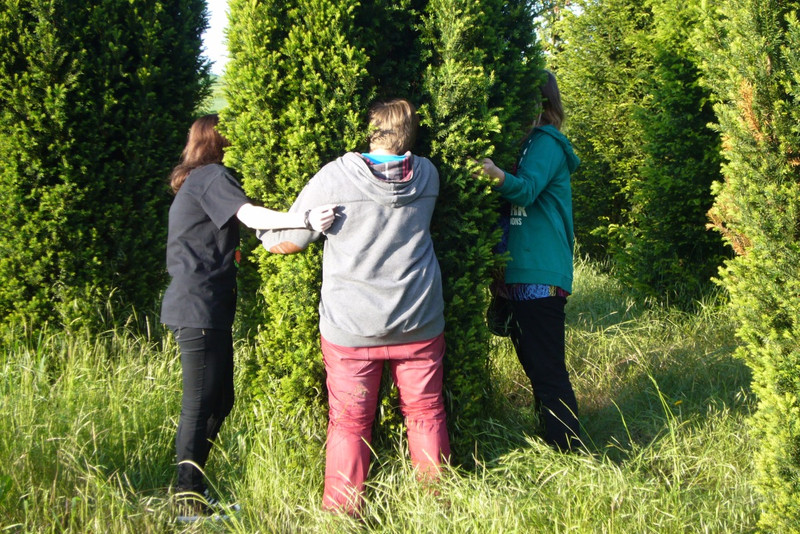 2013_gs_selection_0012