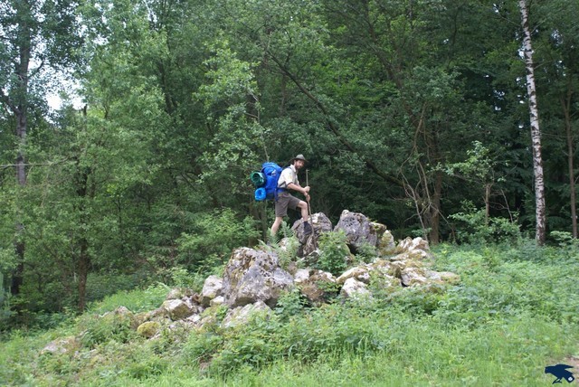 2010_hajk_charlie_041