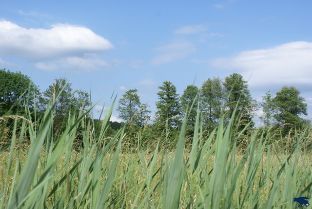 2010_hajk_charlie_065