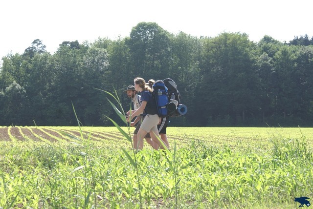 2010_hajk_charlie_066