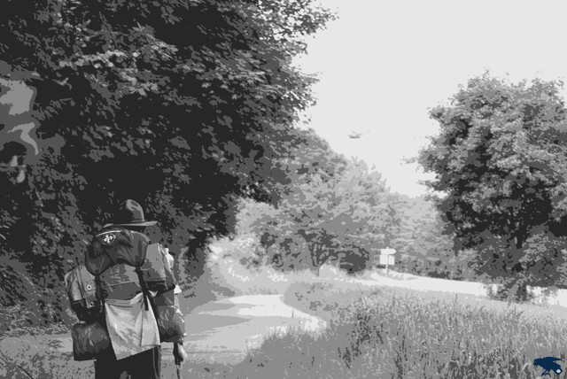 2010_hajk_charlie_125