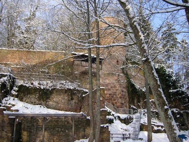 2010_steinegg_stephie_008