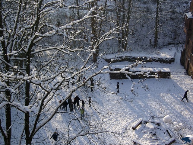 2010_steinegg_stephie_018