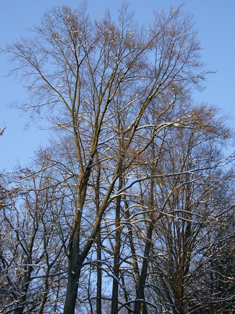 2010_steinegg_stephie_064